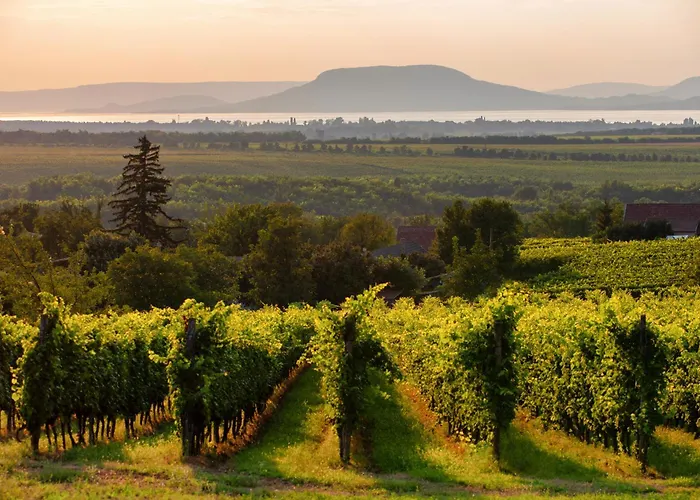 In - Balaton 19144 Balatonlelle